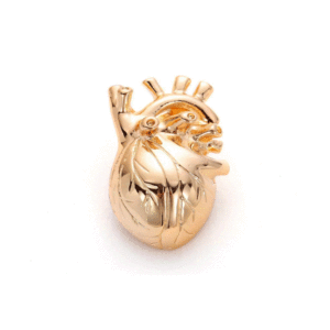Pin Broche Anatomia Coração Personalizado